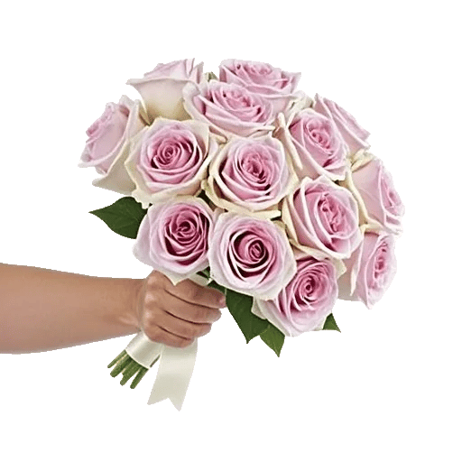 Blushing Rose Symphony