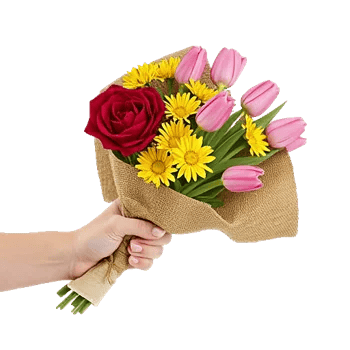 Crimson Rose Elegance