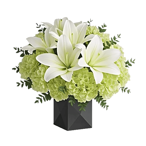 Modern White Orchids