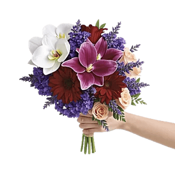 Modern White Orchids