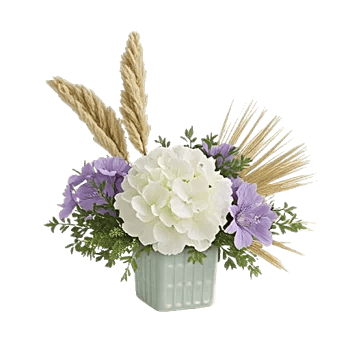 Ivory Blossom Radiance