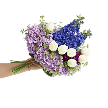 Blossom Petal Serenity