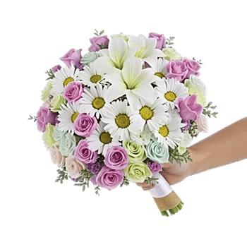 Blushing Rose Symphony