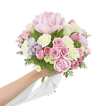 Peony Petal Harmony