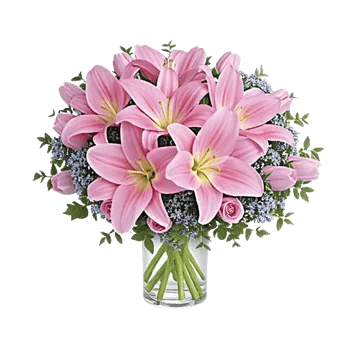 Blossom Harmony Display