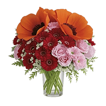 Petal Radiance Bliss