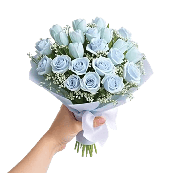 Blossom Petal Serenity