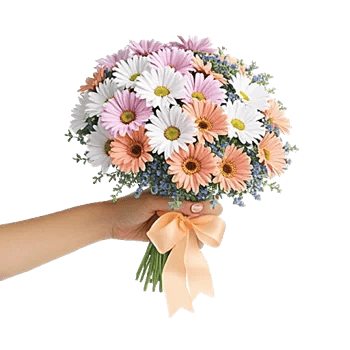 Delicate Petal Cascade