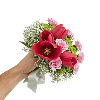 Velvet Tulip Display