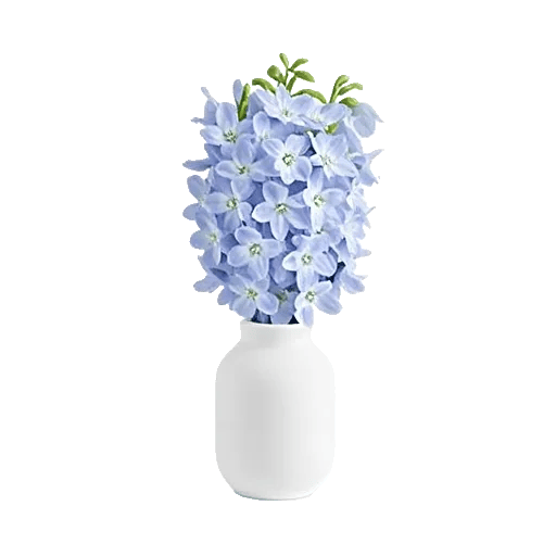 Ivory Blossom Radiance