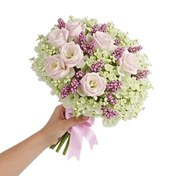 Ivory Garden Grace