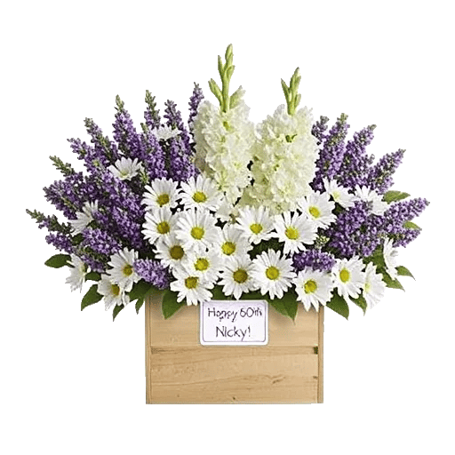 Lavender Bloom Grace