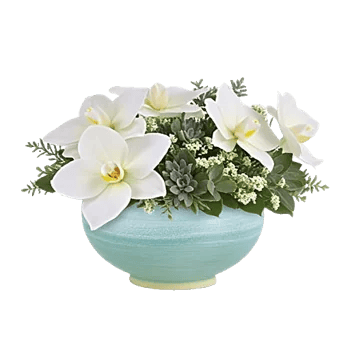 Minimalist White Orchids