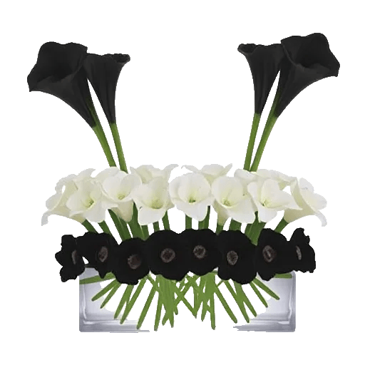 Elegant Calla Lilies