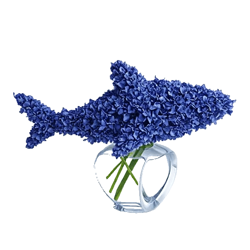 Sapphire Bloom Whisper