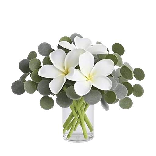 Minimalist White Orchids