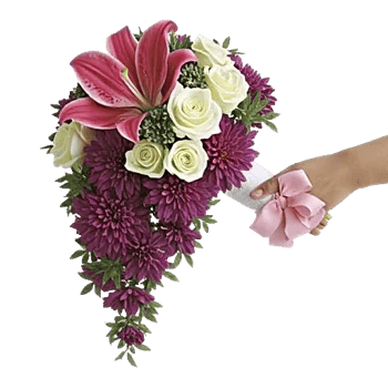 Delicate Petal Cascade