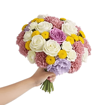 Petal Grace Harmony