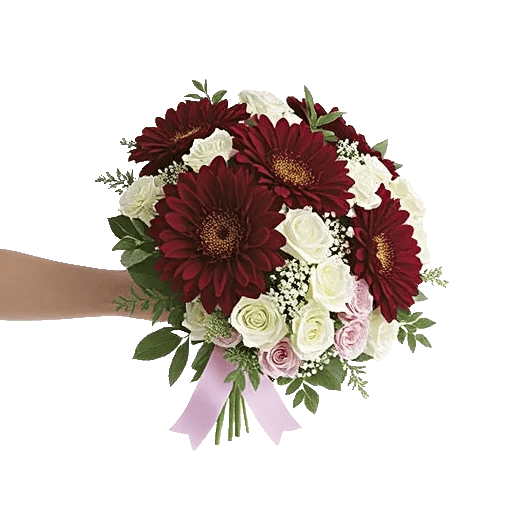 Blushing Rose Symphony