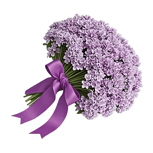 Lavender Bloom Grace