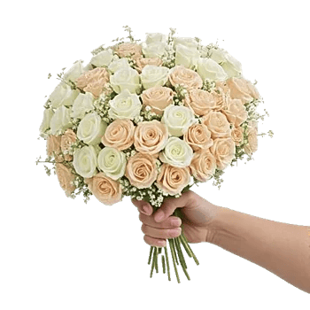 Ivory Blossom Radiance