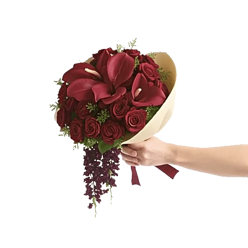 Elegant Calla Lilies