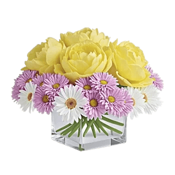Petal Radiance Bliss