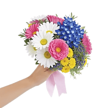 Blossom Petal Serenity