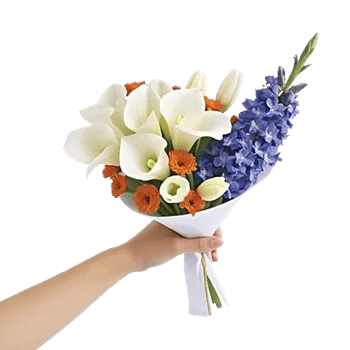 Elegant Calla Lilies