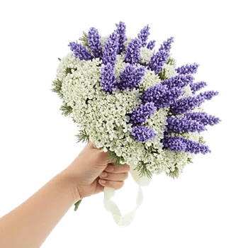 Rosemary Bloom Elegance