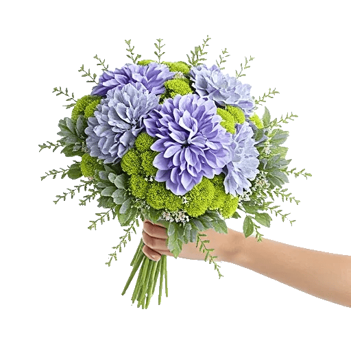 Serene Petal Harmony