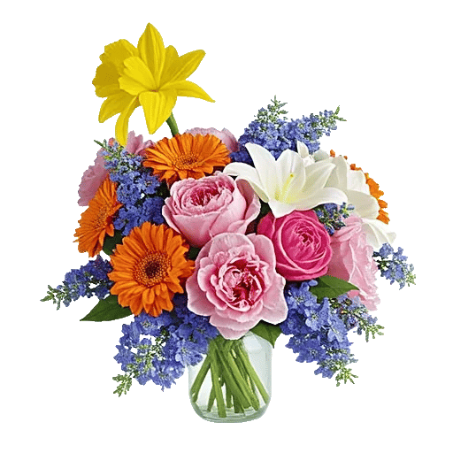 Petal Radiance Bliss