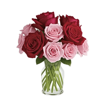 Crimson Rose Elegance