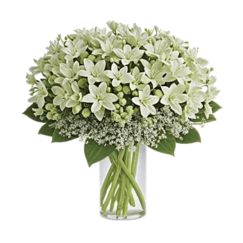 Ivory Blossom Radiance