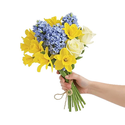 Serenity Blossom Grace