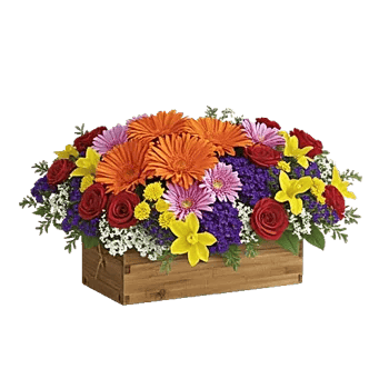 Blush Romantic Centerpiece