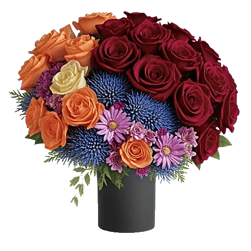 Blushing Rose Symphony