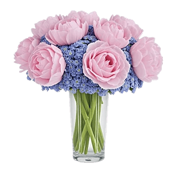 Petal Radiance Bliss