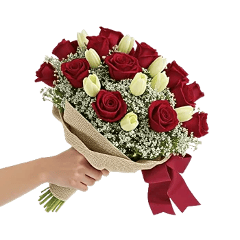 Crimson Rose Elegance