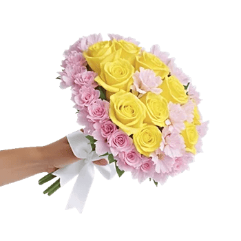 Blossom Harmony Display
