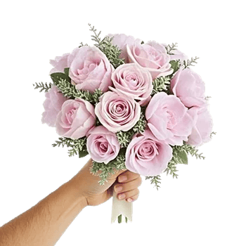 Pastel Pink Roses