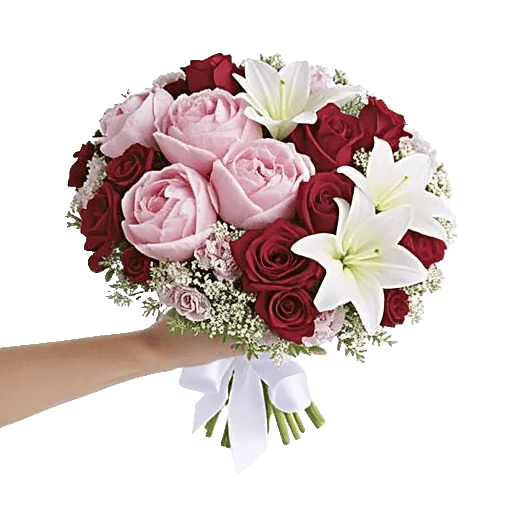 Peony Petal Harmony