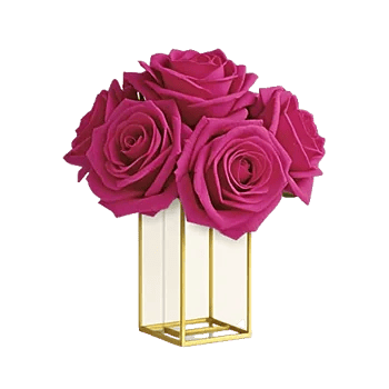 Golden Rose Radiance