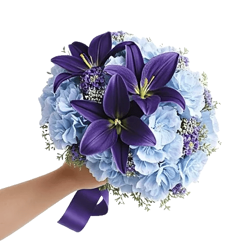 Serene Petal Harmony