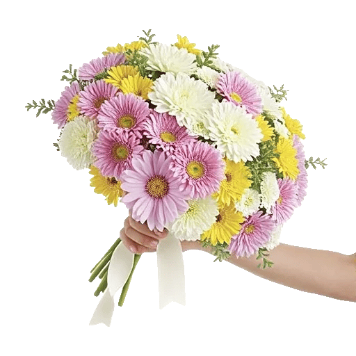 Ivory Garden Grace