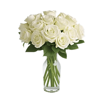 Radiant Rose Symphony