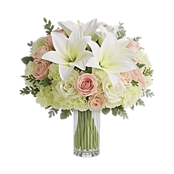 Ivory Blossom Radiance