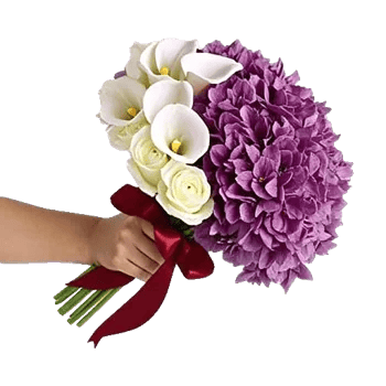 Elegant Calla Lilies