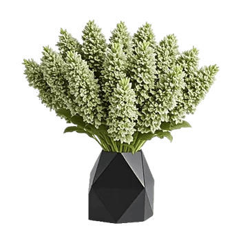 Modern White Orchids
