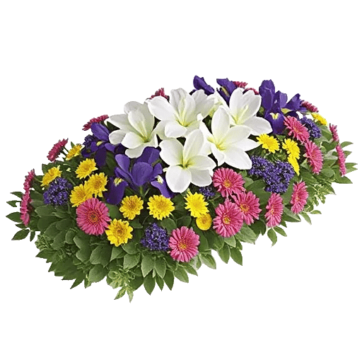 Delicate Petal Cascade